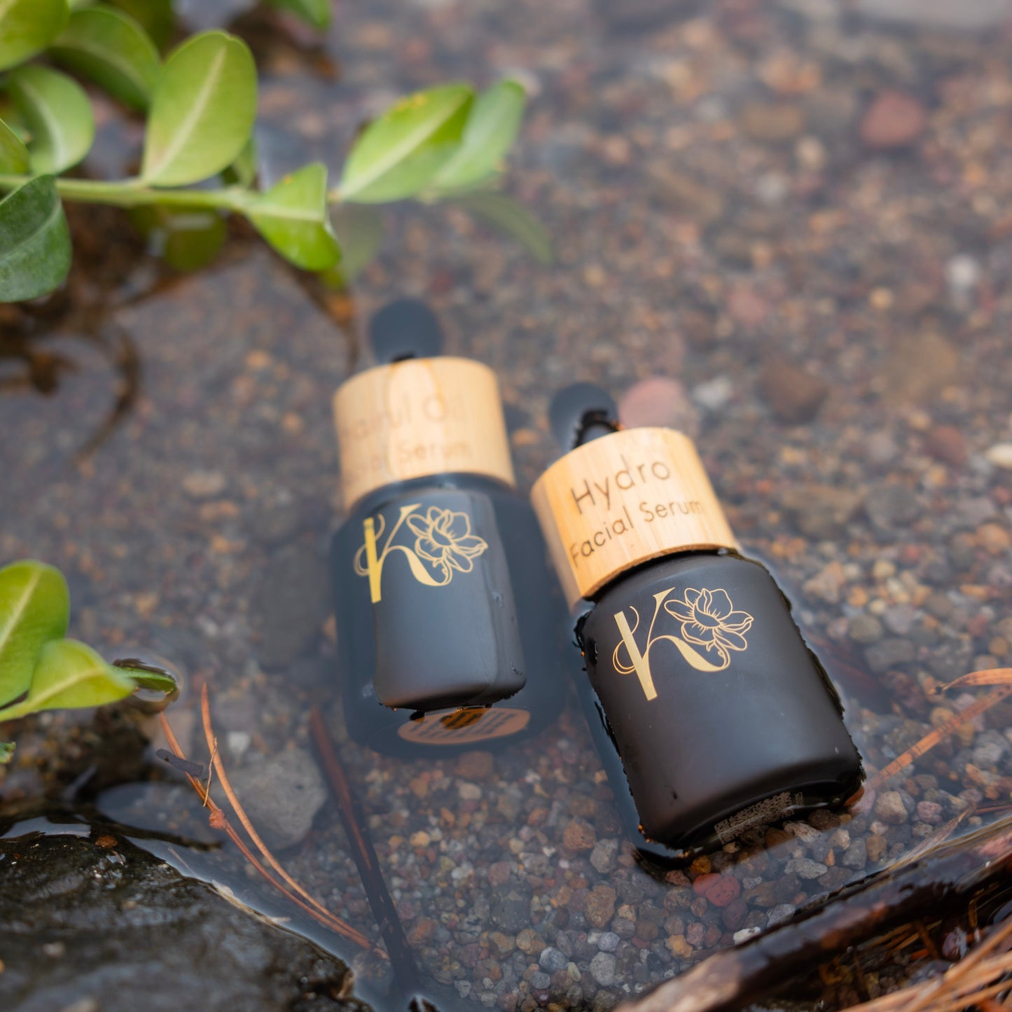 Hydro Facial Serum